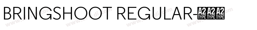 BRINGSHOOT REGULAR字体转换